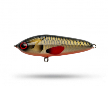 Xet Little Bastard Jr - Dirty Roach Xet Little Bastard Jr - Dirty Roach